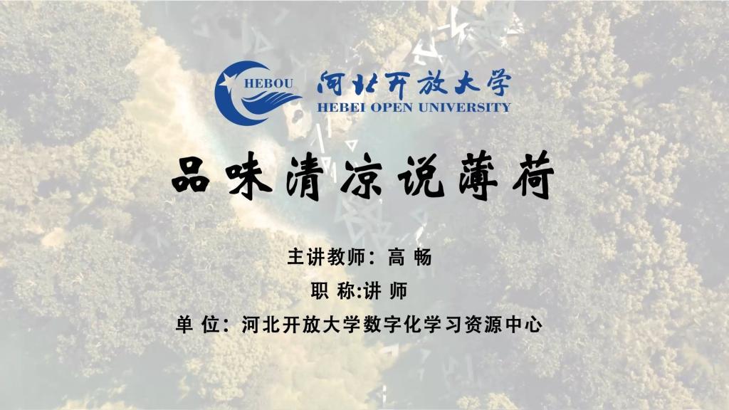 品味清凉说薄荷